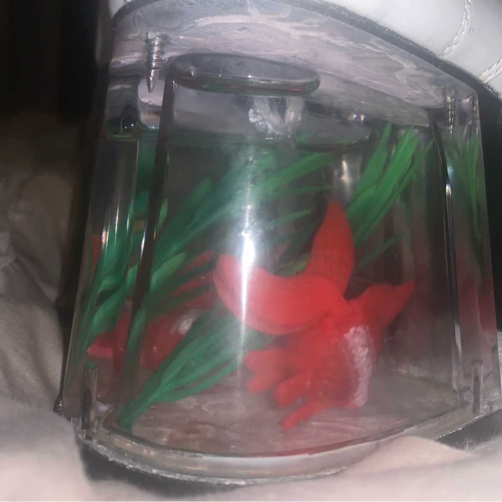 Size 11.5 men’s disco themed fish tank heel shoes.  Costume. Worn once on carpet